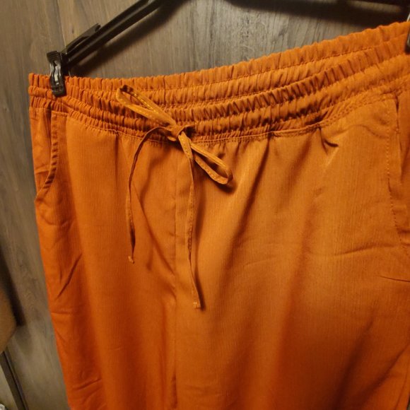 Wide Leg Drawstring Pants Burnt Orange Rust French Laundry - Picture 4 of 5